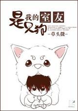 我的室友是只猫