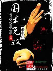 都市之国术无双(江十七)