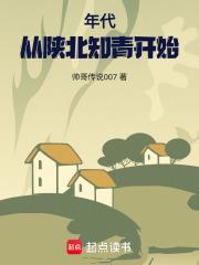 陕北知青长篇有哪些