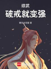 综武侠破碎虚空晋江