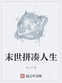 末世拼凑人生百度