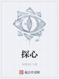探心者毛不易