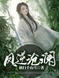 主角叫凤沧澜的