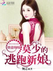 情义绵绵慕少的私有蜜宠