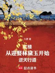 红楼之从林氏女到太后