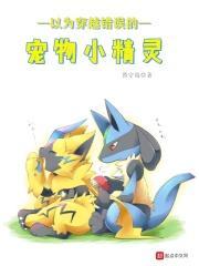 穿越方式错误的宠物精灵