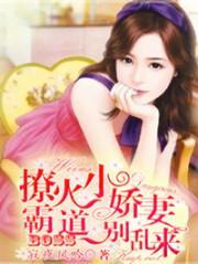 豪门盛宠甜妻要逃跑免费