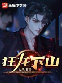 狂龙下山九个师娘太逆天