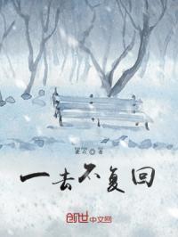 一去不复回歌词
