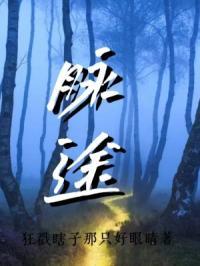 脉途自行车怎么样