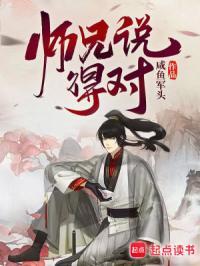 师兄说得对TXT完结版
