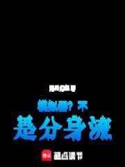 模拟器?不!是分身流笔趣阁