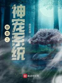 御兽神级掉落系统