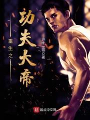 重生之功夫天王