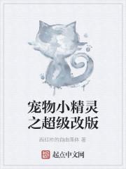 宠物小精灵更新