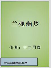 幽兰之魂武器装扮外观图片