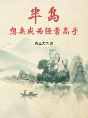 半岛想要成为经营高手 免费阅读