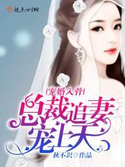 宠婚厚爱总裁追妻赖上瘾免费