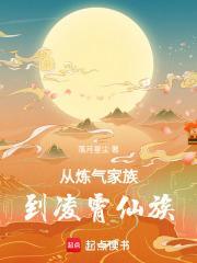 从炼气家族到凌霄仙族的