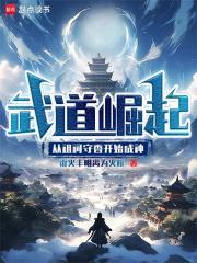 武道崛起江小白免费阅读全部