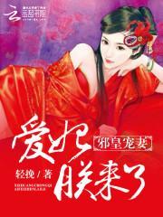 邪皇宠妻爱妃朕来了