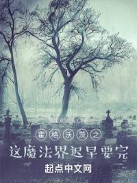 霍格沃茨的魔法世界之旅免费阅读