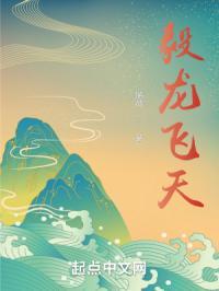 飞天龙翔是什么酒