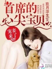 宠妻来了首席的心尖宝贝免费阅读