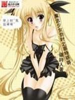 魔法少女奈叶之菲特的哥哥叫什么