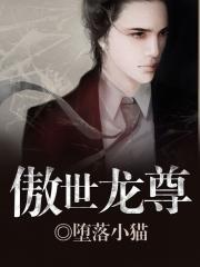 傲世龙尊短剧合集