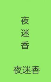 夜迷香手串是啥