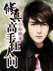 修真高手在人间 txt