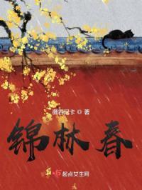 锦林春梦