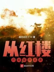 从红楼开始拯救名著目录