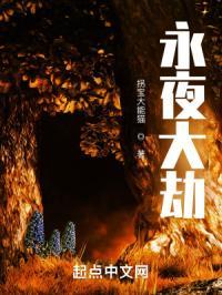 永夜浩劫是什么