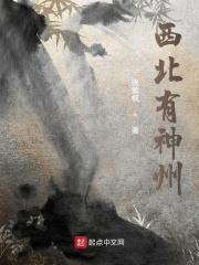 西北神州指的是中国吗