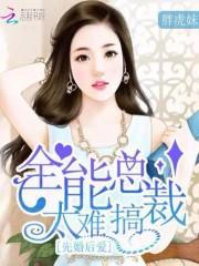 先婚厚爱总裁宠妻百分百免费阅读