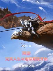 网游完美人生从地狱难度开始 沐大川