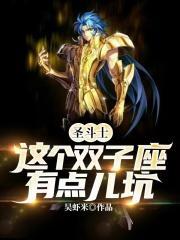 双子座圣斗士星矢