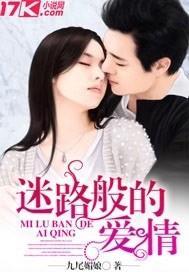 迷路般的爱情免费观看