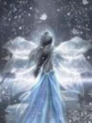 异世天才少女gl