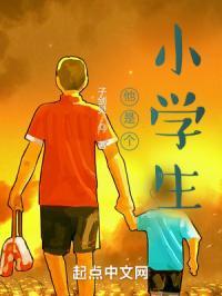 他是个小学生的英语