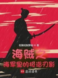 海贼之疾风剑豪