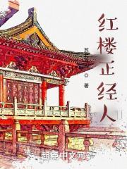 红楼正经人全本免费阅读