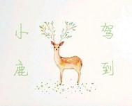 小鹿驾到宠物店加盟