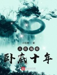 人在港综卧底十年