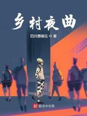 乡村夜曲 赖冬雪