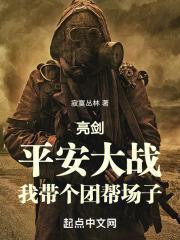 亮剑打平安县城台词