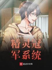 精灵冠军系统在哪里看