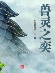 灵兽之魂在哪刷